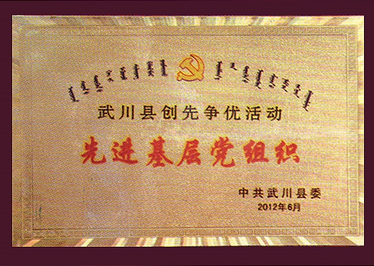 先進基層黨組織